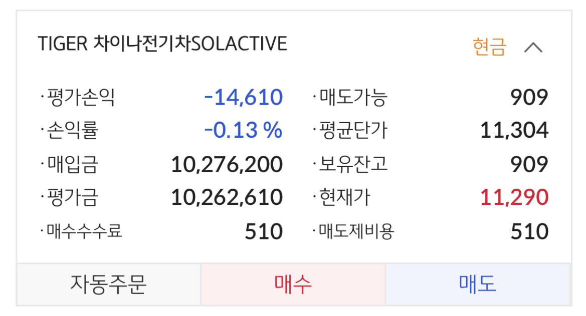 tiger 차이나전기차solactive-매수