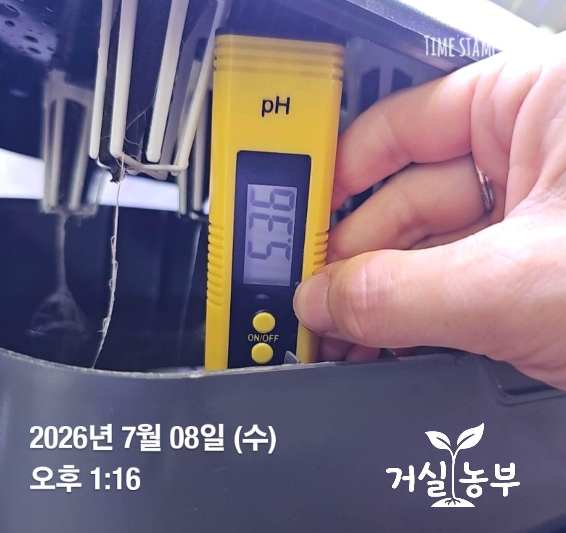 QUUMA 수경재배기 영양액 pH 5.36 측정 결과