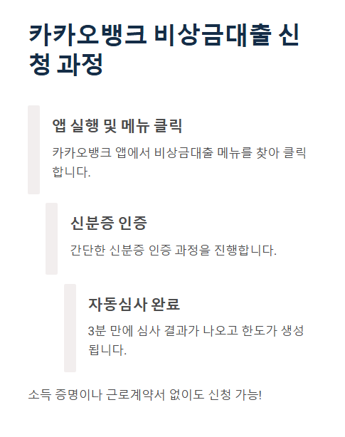 카카오뱅크 비상금대출 신청 과정