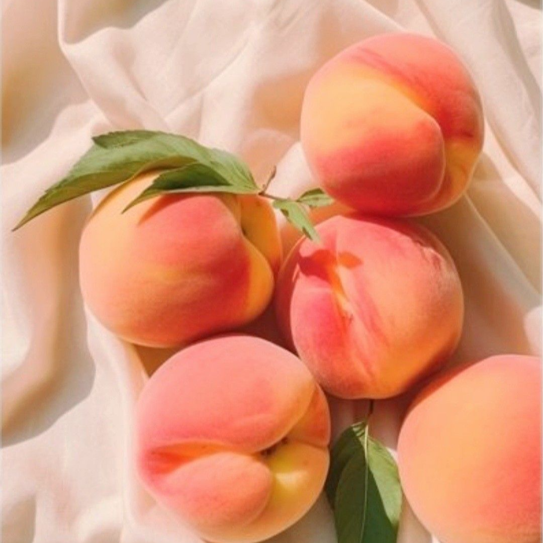 복숭아