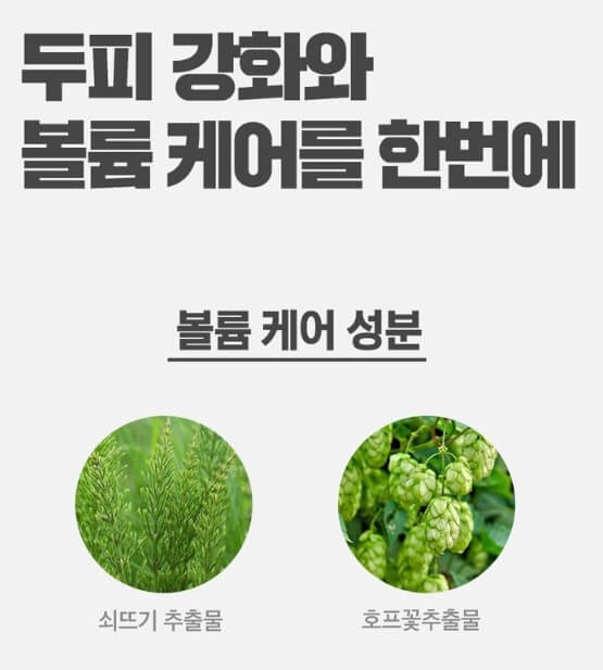 탈모샴푸 추천