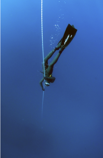 심해는 어떻게 생겼을까?