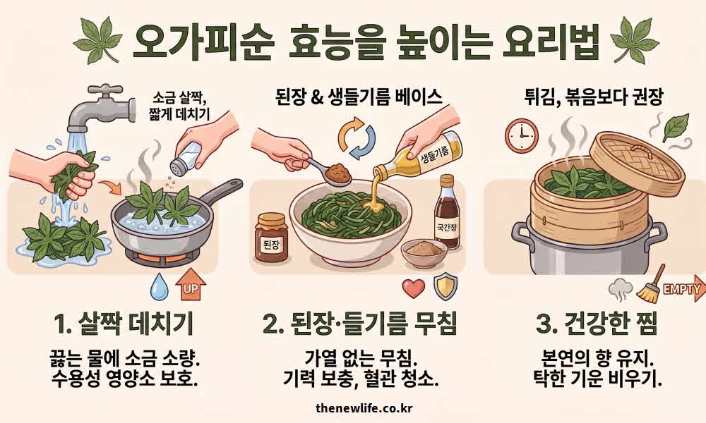 오가피순 효능 높이는 요리법