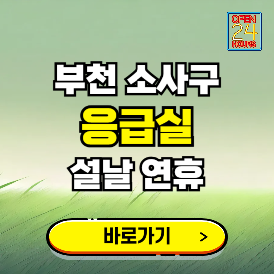 부천시 소사구 설날 연휴 비상진료 응급실 병원 찾기 ❘ 내근처 24시 야간 심야 휴일 가능한 곳