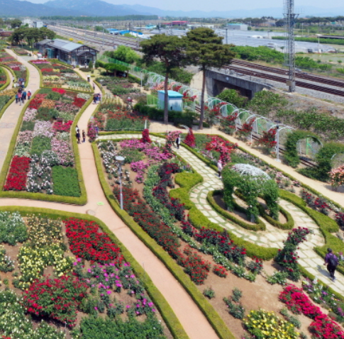 5월 꽃축제 가볼만한 곳 BEST3