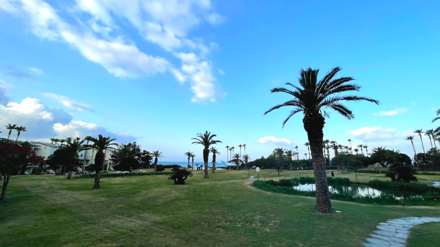 소노캄 제주 리조트 야자수