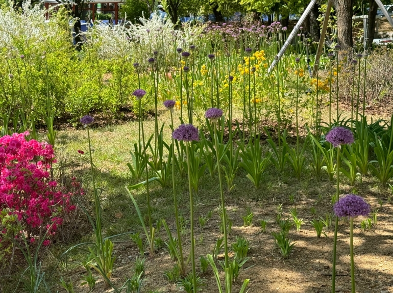 서울국제정원박람회