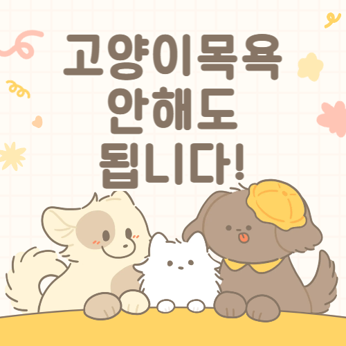 고양이를 목욕, 꼭 해야할까요?