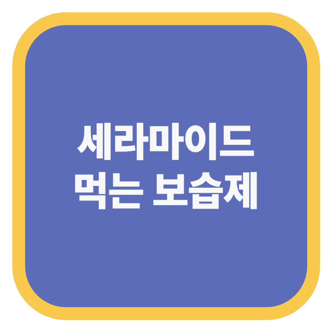 세라마이드 먹는 보습제