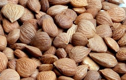 용각산쿨 성분 행인