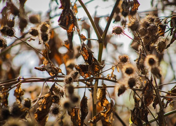 시린 이 예방을 위한 치간칫솔 사용 예시