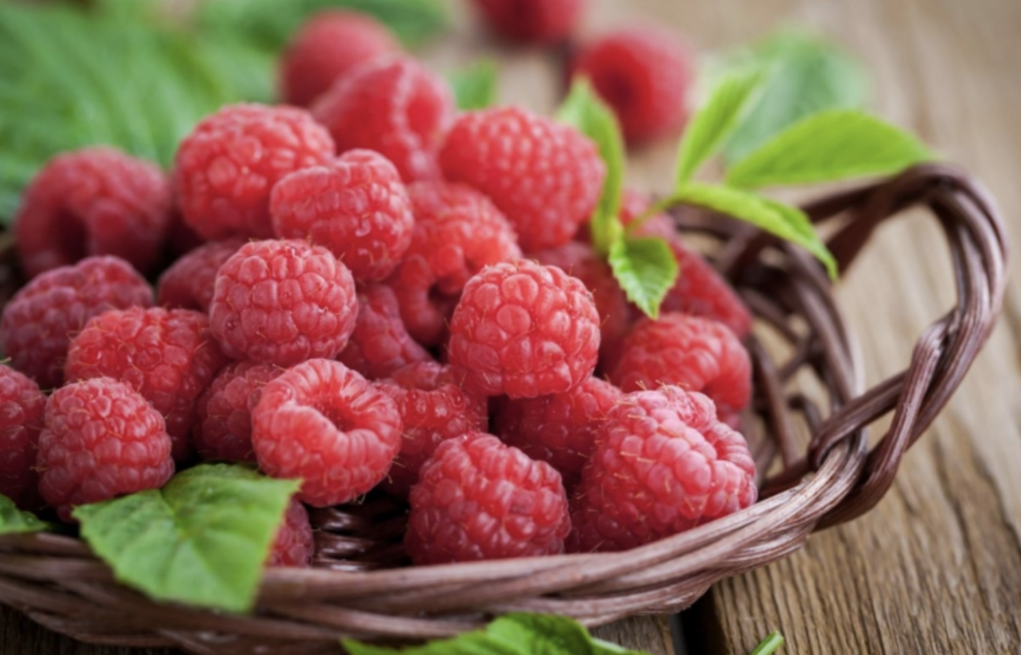 산딸기 보관방법