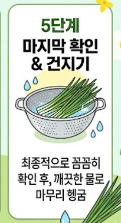 냉이 손질법 및 싱싱한 보관 꿀팁