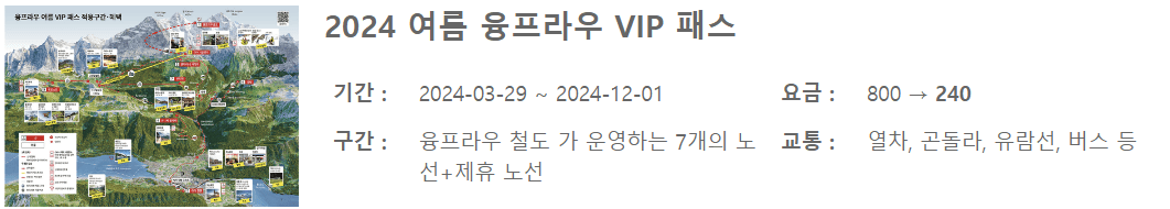 여름 융프라우 vip패스