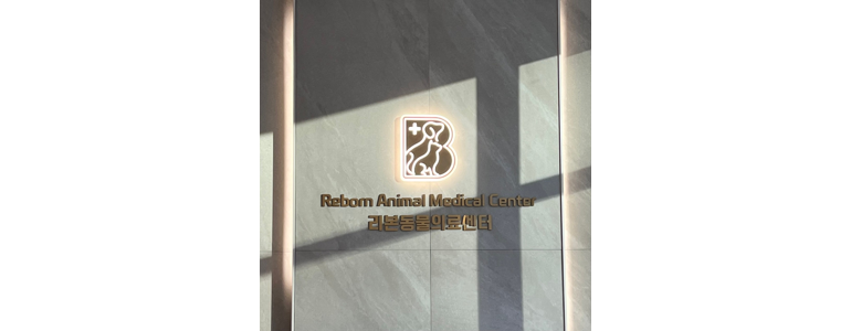 춘천시 동물병원