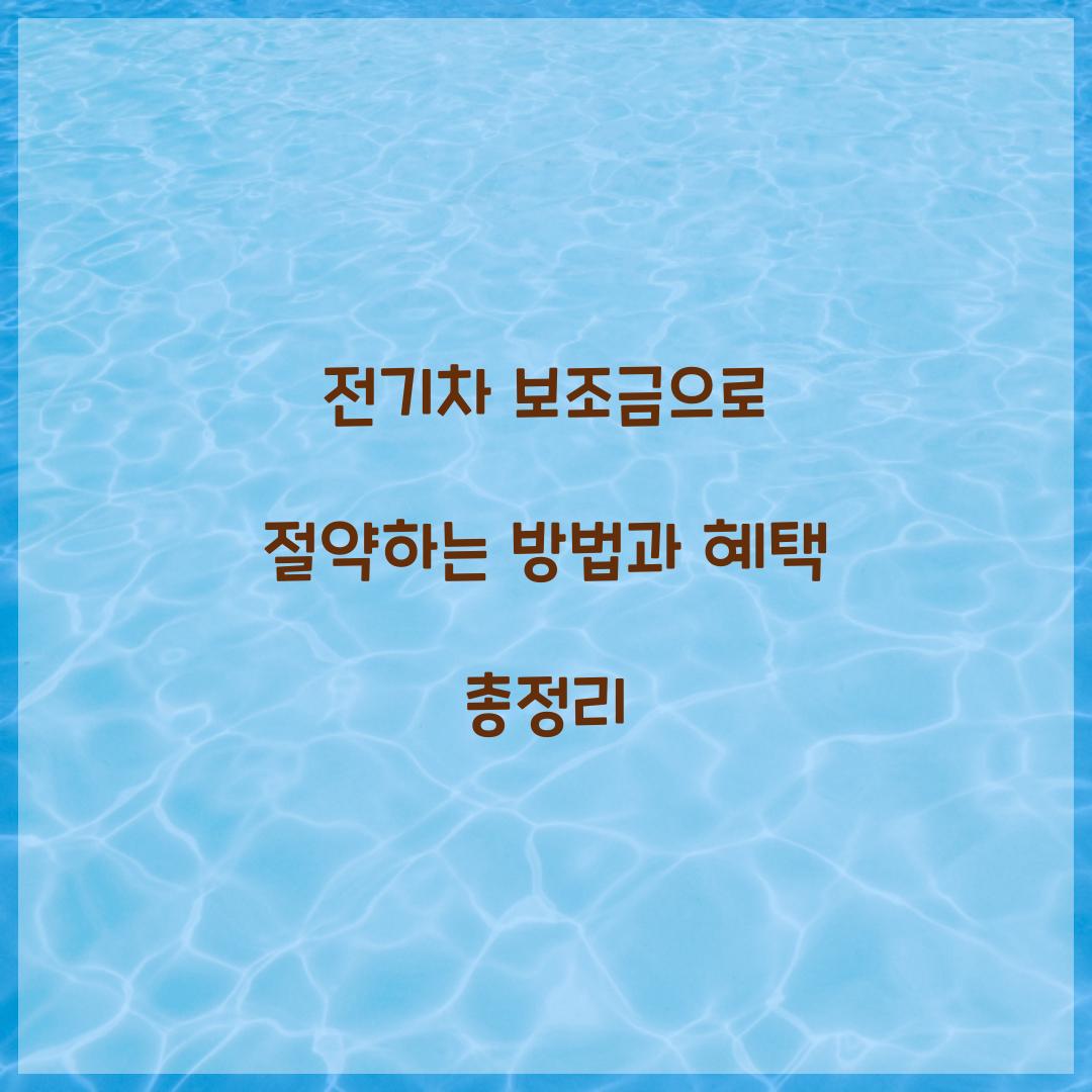 전기차 보조금