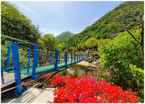 장령산