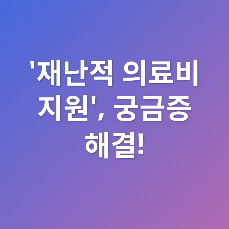 의료 안전망_4