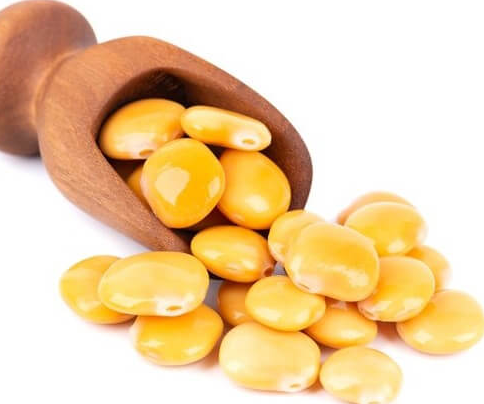 루피니빈 효능 부작용 가격 밥 차 삶기 먹는법 총정리