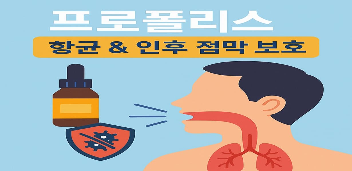 “프로폴리스의 항균 효과와 인후 점막 보호 기능을 설명한 인포그래픽 이미지”