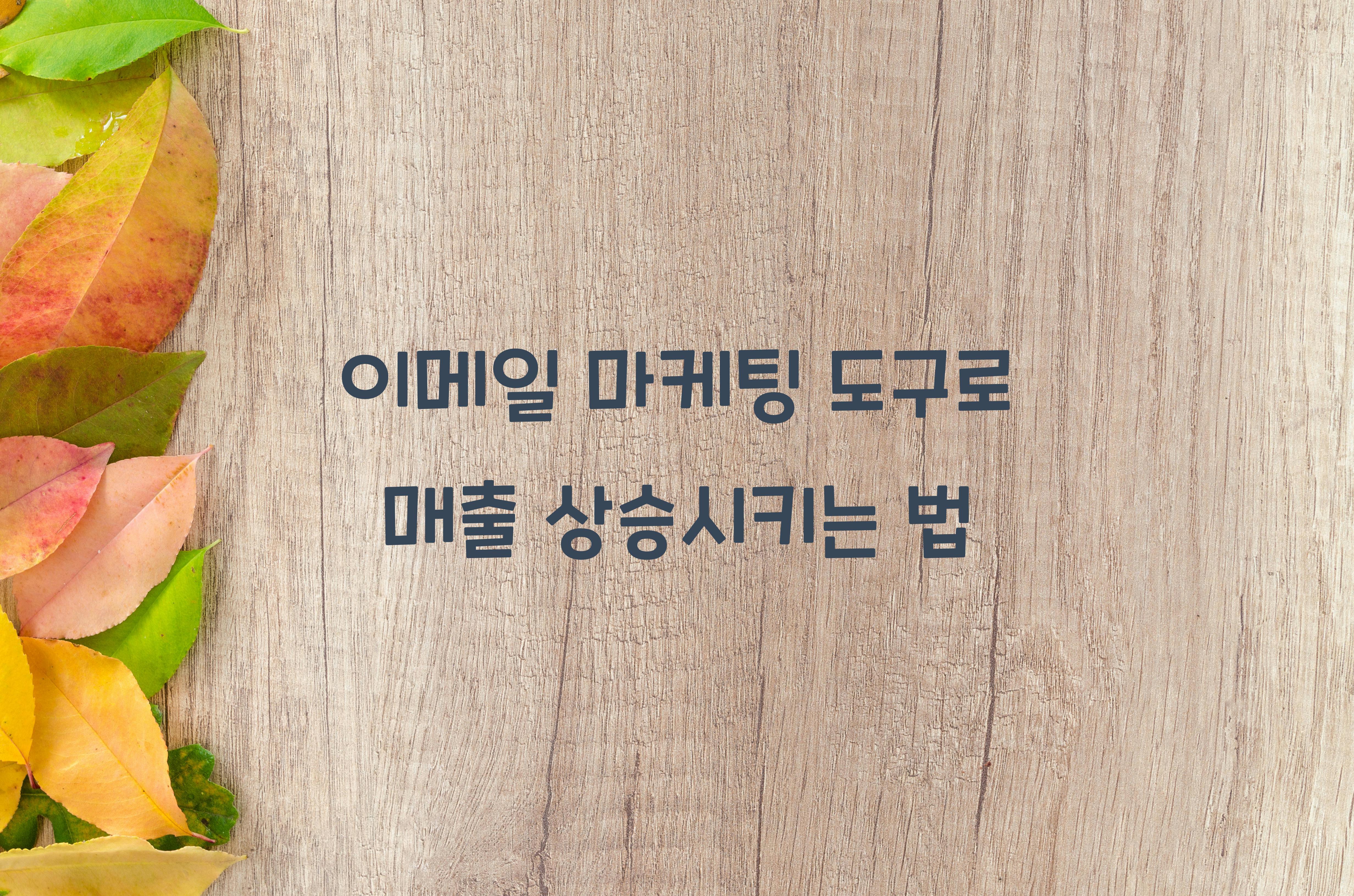 이메일 마케팅 도구