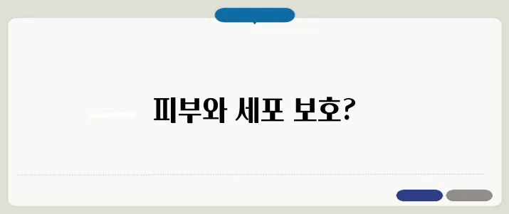 비타민e의 효능 한번 정확하게 알아보도록 하죠