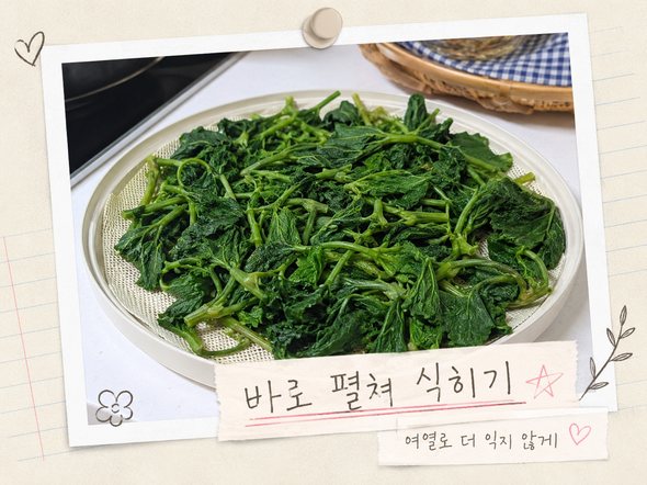 호박잎 찌는법