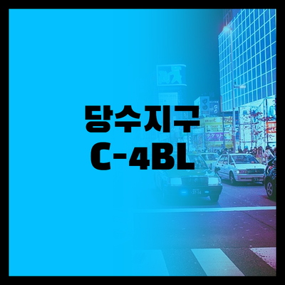 긴급 수원당수지구 C-4BL 당첨 후