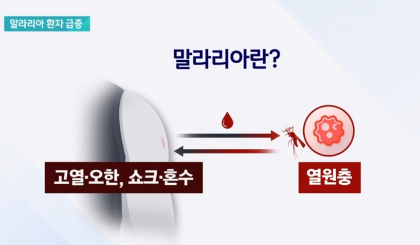 말라리아