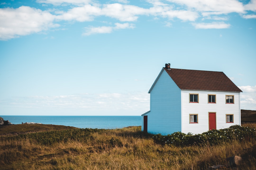 Blue House