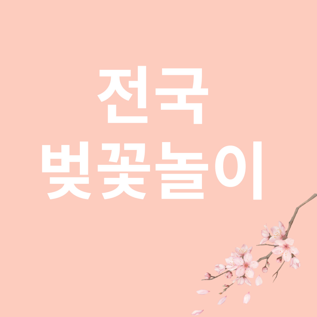 벚꽃놀이 관련 이미지