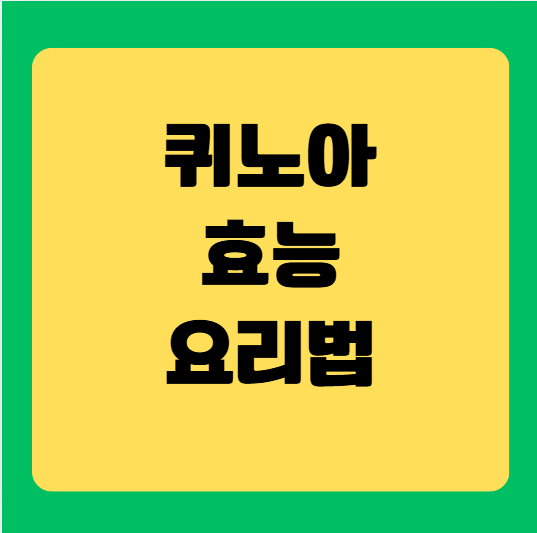 퀴노아 효능과 먹는 법(구매 및 보관 팁)