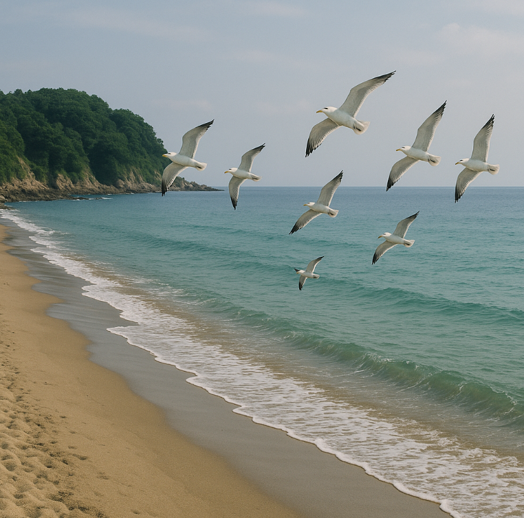 경북 포항 호미곶 소만해안 바다모습