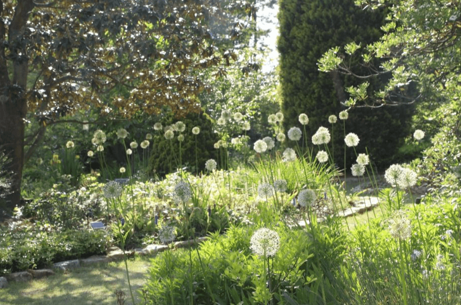 천리포수목원 봄축제: 자연이 피어나는 순간을 걷다!