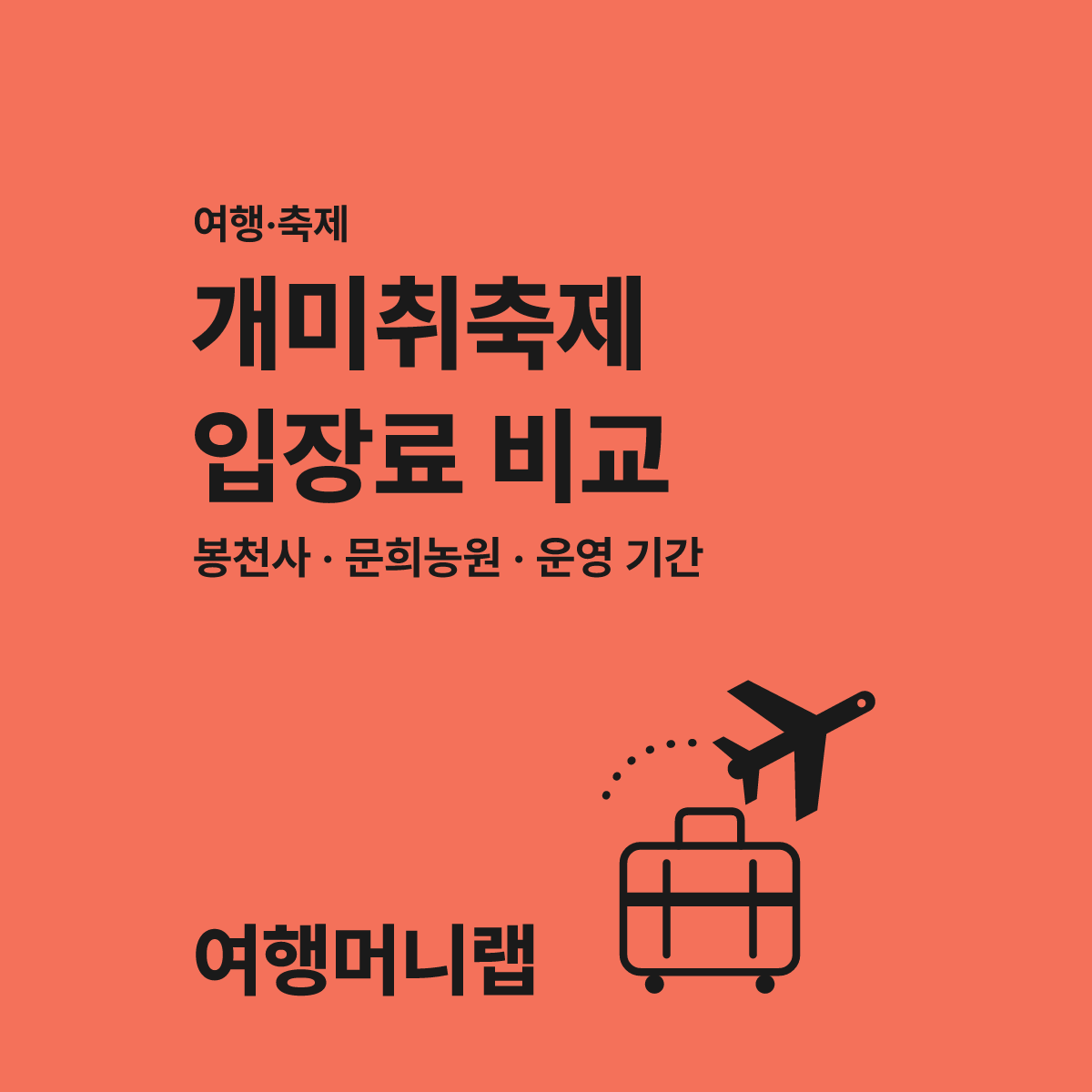 2026년 문경 개미취축제 입장료와 주차장 비교 가이드 대표 이미지