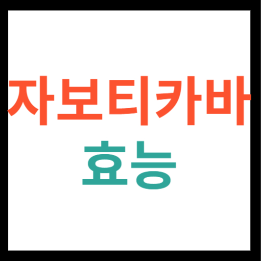 자보티카바 효능