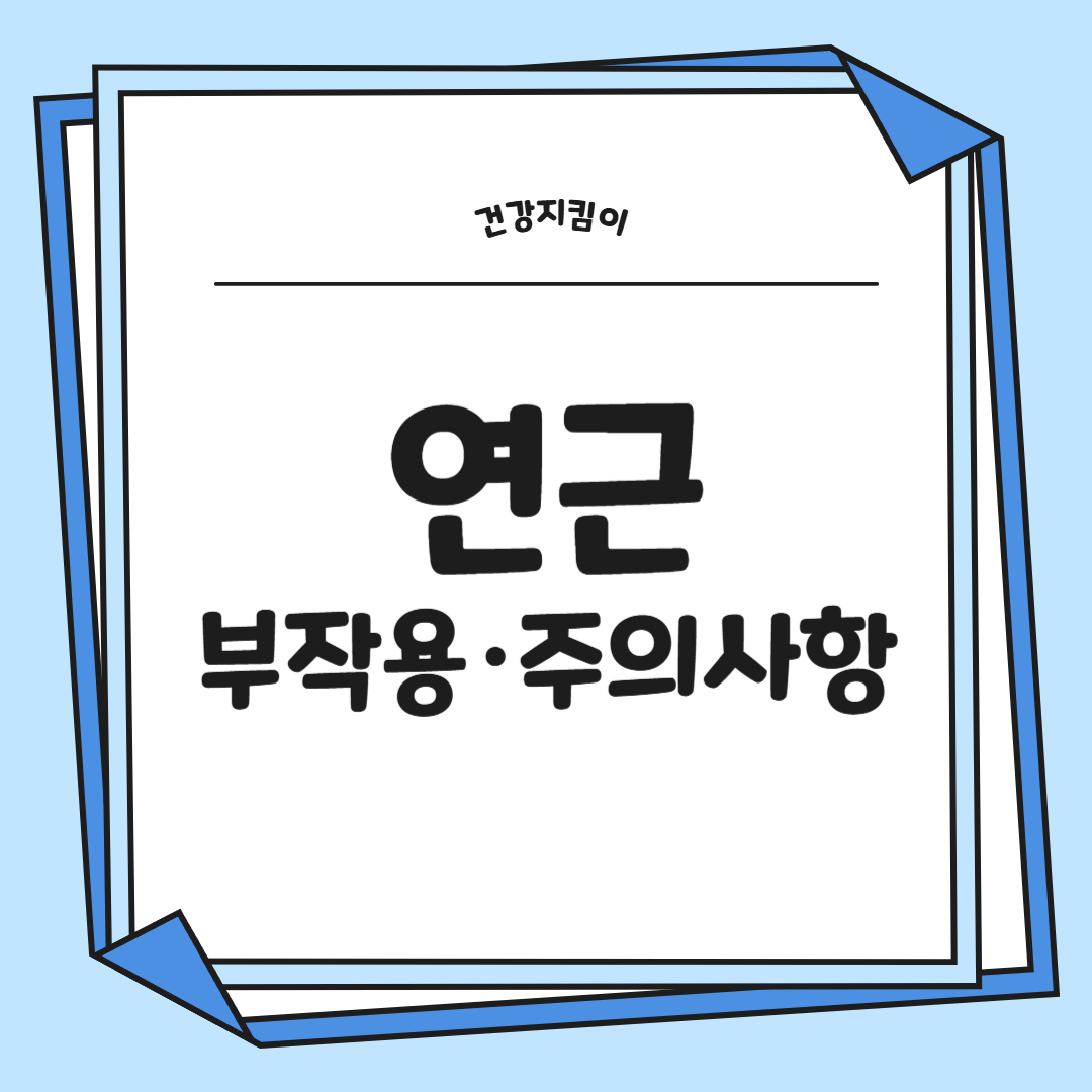 연근 효능과 부작용 먹는법 고르는법 칼로리