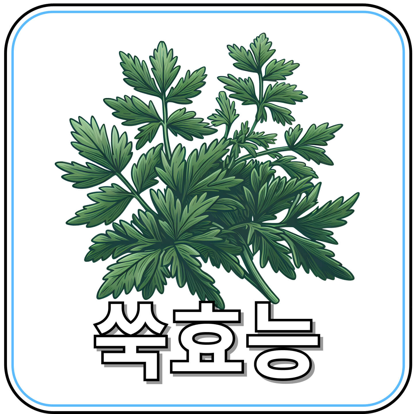 쑥 효능 자연이 준 최고의 선물, 쑥의 건강 비밀