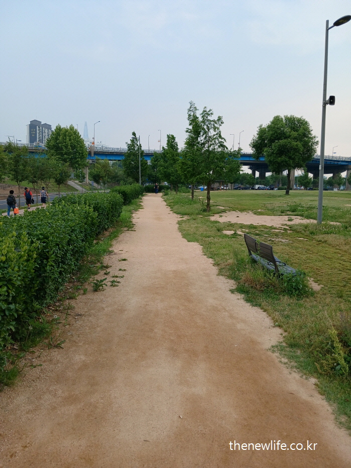 Tree-lined barefoot walking path at Gwangnaru Hangang Park in spring-봄철 나무가 줄지어 있는 광나루 한강공원의 맨발 걷기 흙길