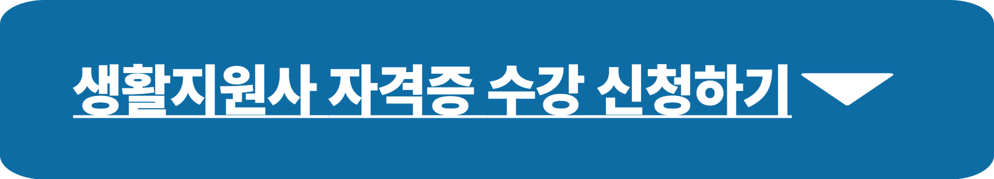생활지원사