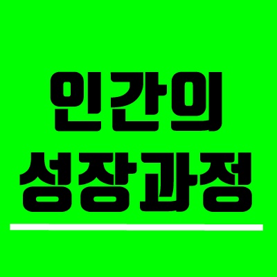 인간의성장과정