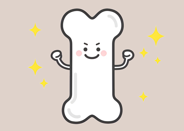 건강한-뼈의-모습