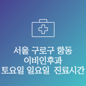 서울 구로구 항동 이비인후과 주말 토요일 일요일 문여는 병원 진료시간