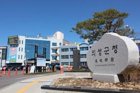 제 2회 남대천 벚꽃축제 기본일정과 프로그램 소개