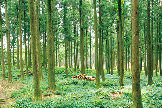 과천 가볼만한곳 베스트10