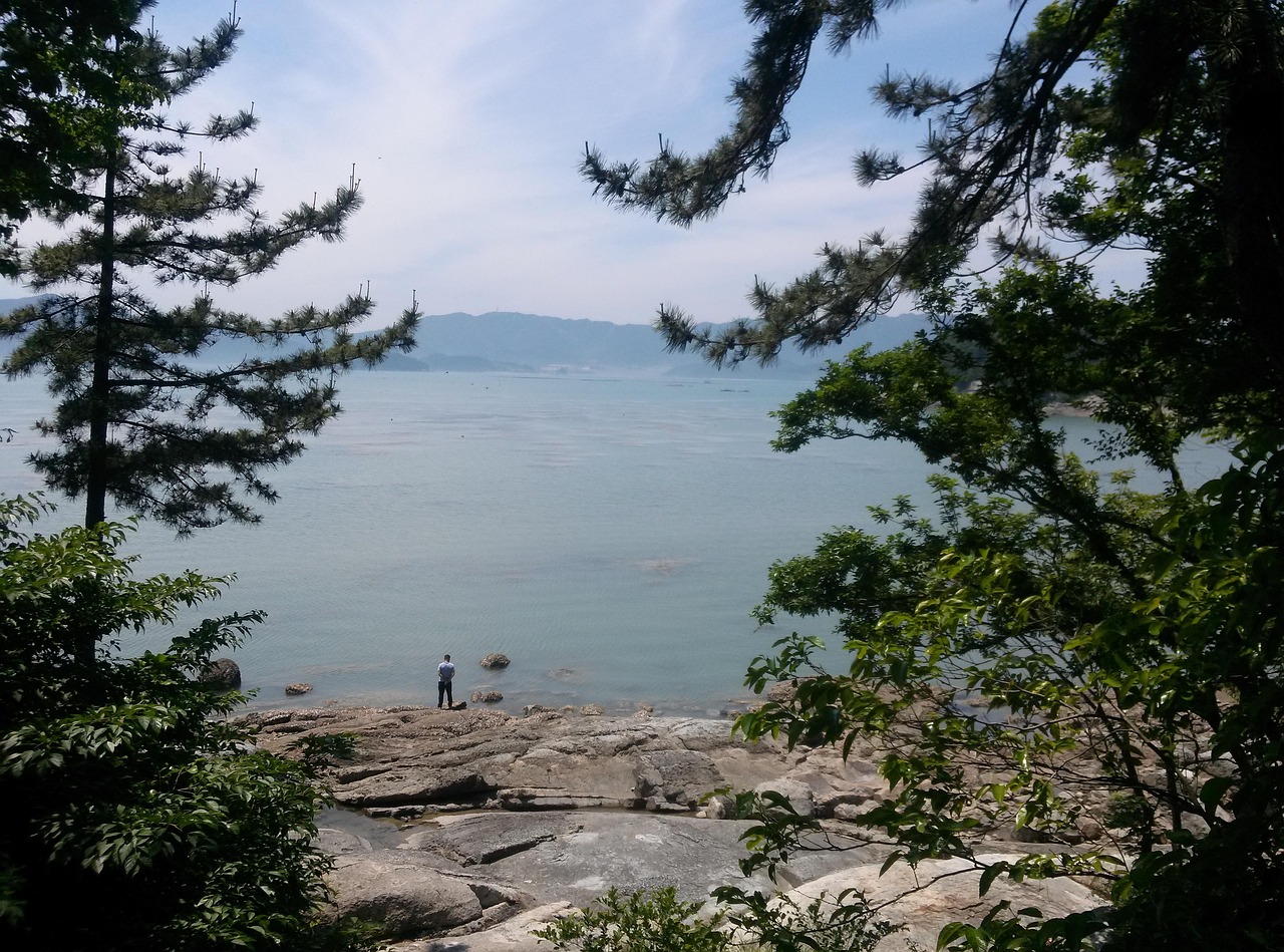 요즘 뜨는 완도 여행지 (전복요리, 명소, 가족여행) 관련 사진