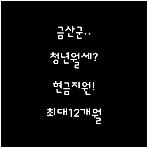 금산군 청년월세지원 최대 12개월 현..