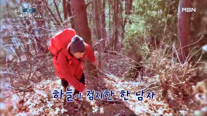 나는 자연인이다 티베트 스타일 옥순봉 고추장 피자 해처럼 바람처럼 자연인 이가영 소개 및 이승윤 출연 542회 다시보기