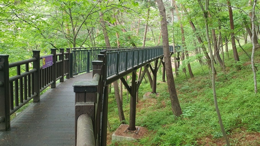 안면도 자연휴양림