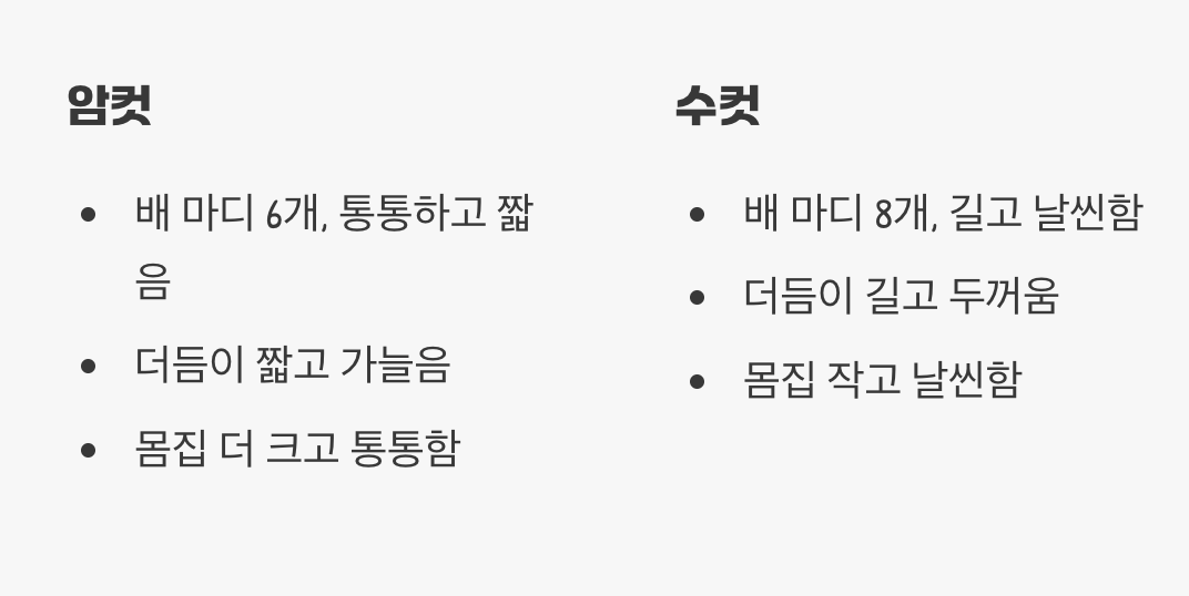 한눈에 알아보는 암컷과 수컷